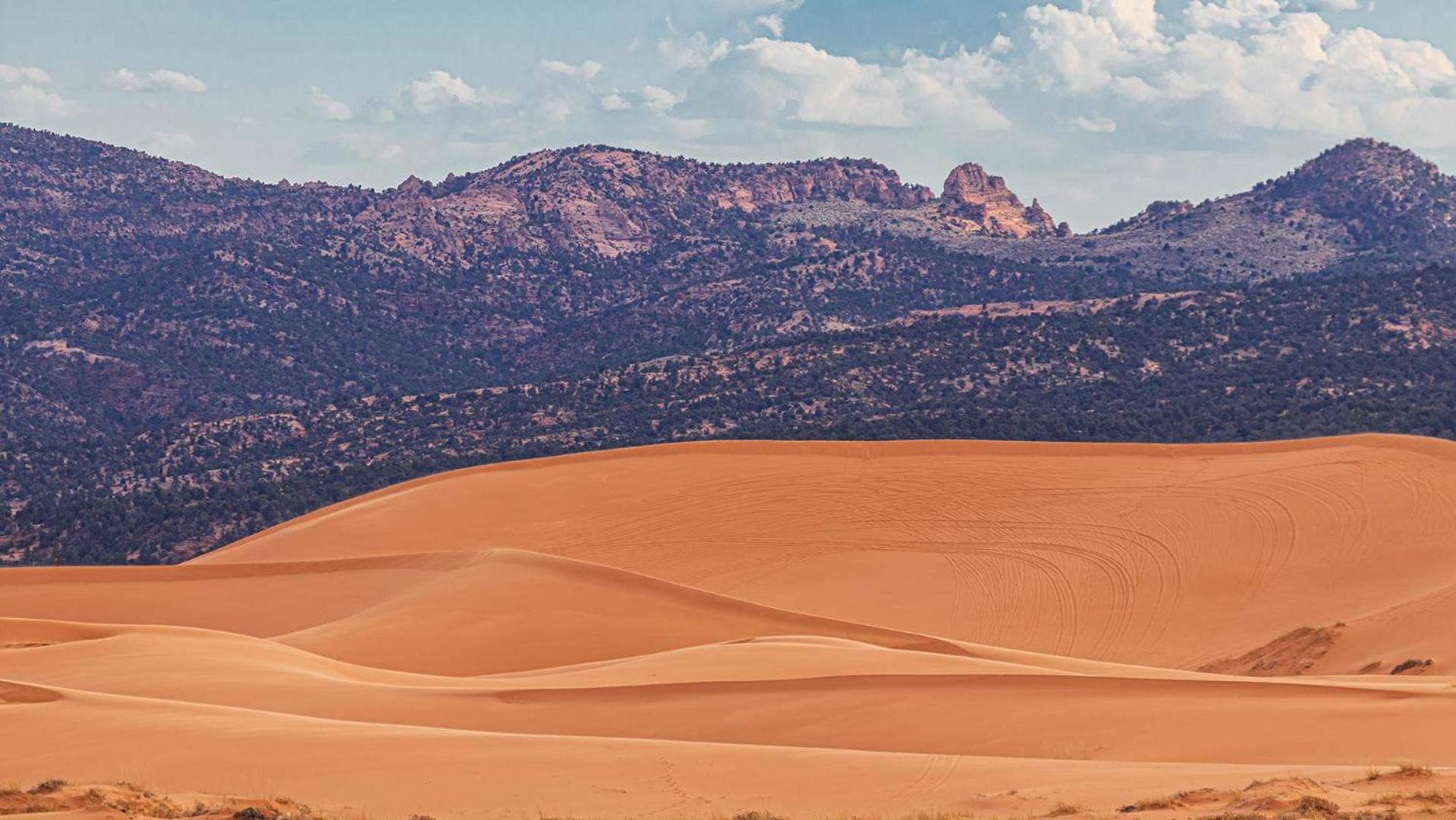 Southern Utah Hidden Gem Near Zion National Park Orderville Luaran gambar